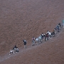 11.3.2009 - 07:24<br />Das Klettern auf den Berg war damals zwar nicht erwünscht, aber erlaubt, weshalb so gut wieder hoch wollte. aussser mir, denn was sieht man schon wenn man oben ist? Nichts, der Berg ist schließlich nicht zu sehen....