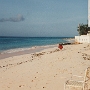13.-20.11.1990 - Hotel San Remo - Barbados<br />Preis für 1 Woche Ü incl. Flug ab Amsterdam: 1533.- DM<br />Dollarkurs in €: 1,29