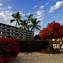 Kona Seaside Hotel - Kona/Big Island - Zimmer 103<br />29.11.-1.12.1992 - 84,22 $ = 134,19 DM für 2 Nächte