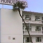 22.11.1993 - Thunderbird Motel - Daytona Beach<br />Preis pro Nacht: 47,30 DM