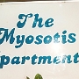 Mysosotis Apartements - Barbados<br />6.-19.12.1994 - Preis pro Studio pro Nacht: 37,12 $, Barzahlung