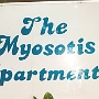 6.-19.12.1994 - Mysosotis Apartments - Barbados<br />Preis pro Studio pro Nacht: 37,12 $, Barzahlung