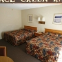 5.6.2008 - Furnace Creek Ranch - Death Valley/CA<br />86,00 € - über DERTOUR gebucht