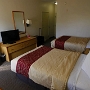 7.10.2015 - Red Roof Inn - Phoenix Airport - Zimmer 135<br />38,75 € - über ebookers.de gebucht