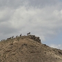 26.05.2012 - Wild Horse Monument
