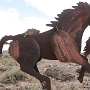 26.05.2012 - Wild Horse Monument