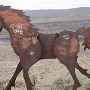 26.05.2012 - Wild Horse Monument