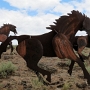 26.05.2012 - Wild Horse Monument