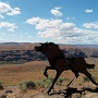 26.5.2017 - Wild Horse Monument