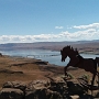 26.5.2017 - Wild Horse Monument