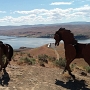 26.5.2017 - Wild Horse Monument