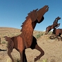 26.5.2017 - Wild Horse Monument