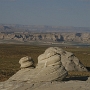 Stud Horse Point 2.6.2008