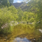 13 - Sabino Canyon