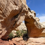 56 -  Hickman Bridge - Capitol Reef NP - UT