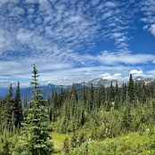 66 - Revelstoke NP