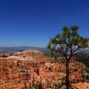 36 - Bryce Canyon