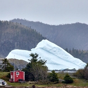 40 - Harry´s Harbour - Newfoundland