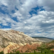 66 - Dinosaur NM