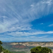 67 - Dinosaur NM