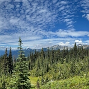 76 - Revelstoke NP