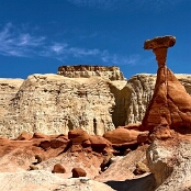 4 - Toadstool Hoodoo
