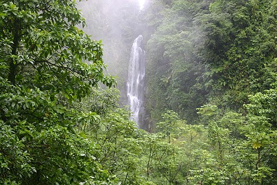 Trafalgar Falls - Dominica Trafalgar Falls - Dominica