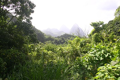 Die Pitons auf St. Lucia Die Pitons auf St. Lucia