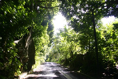 Dominica Dominica