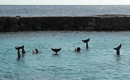 Curaçao Sea Aquarium Park