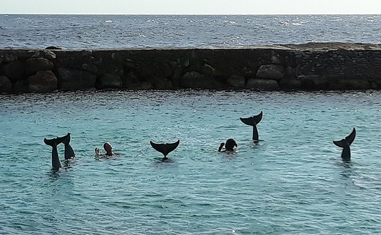 Curaçao Sea Aquarium Park Curaçao Sea Aquarium Park
