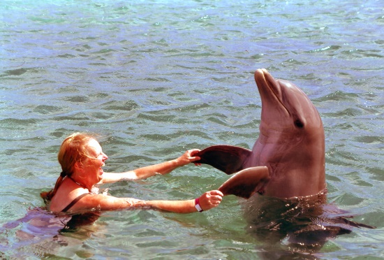 Uli und der Delfin