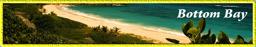 Bottom Bay