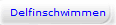 Delfinschwimmen