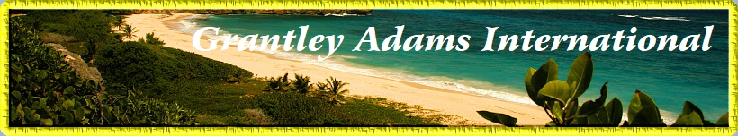 Grantley Adams International
