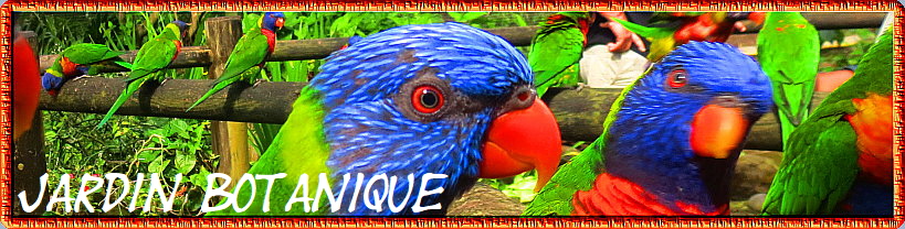Jardin Botanique Jardin Botanique