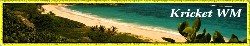 Kricket WM
