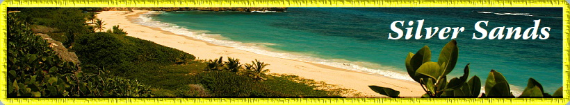 Silver Sands Silver Sands
