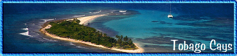 Tobago Cays