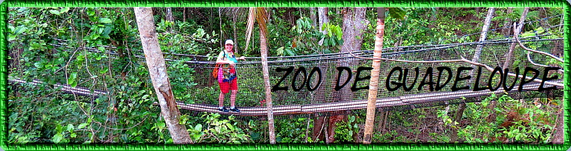 Zoo de Guadeloupe