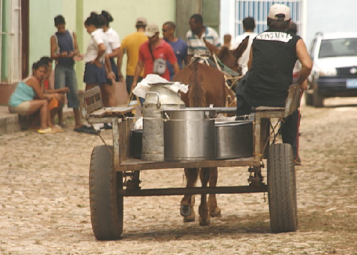 trinidad15 trinidad15