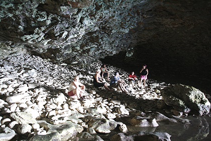 Animal Flower Cave