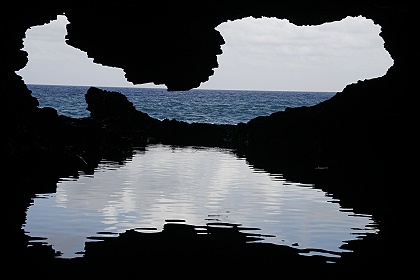 Animal Flower Cave