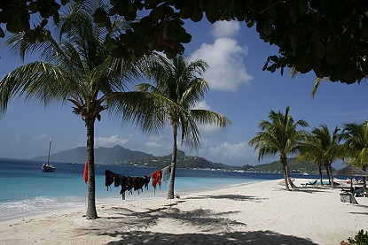 Palm Island Palm Island