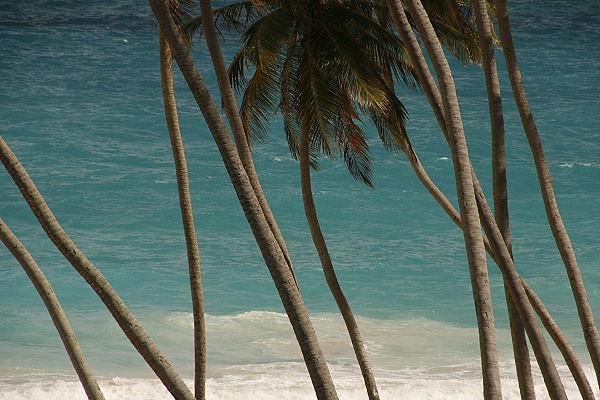 Bottom Bay Barbados