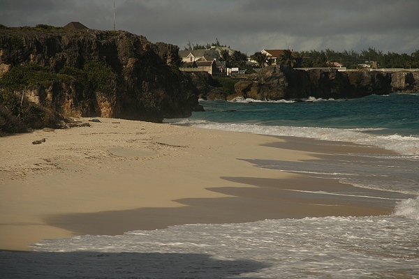 beachcrane12 beachcrane12
