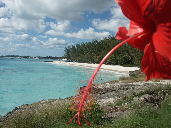 Miami Beach Barbados