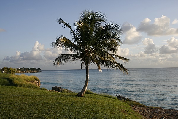 Enterprise Road Barbados