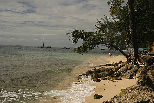 Barbados - Folkestone Marine Reserve & Park Barbados - Folkestone Marine Reserve & Park