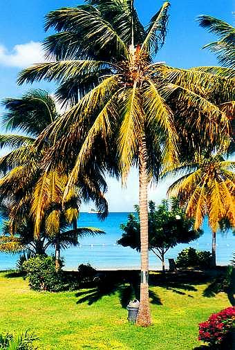 Runaway Bay - Antigua 1994